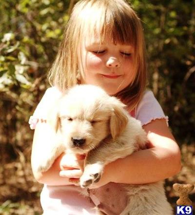 Puppies in Paola